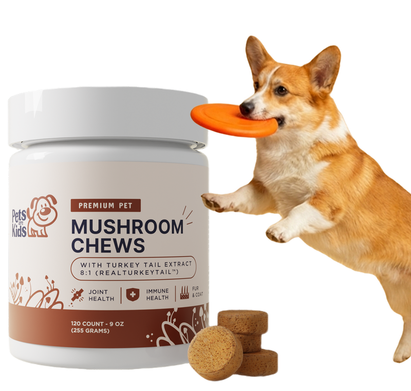 Mushroom chews